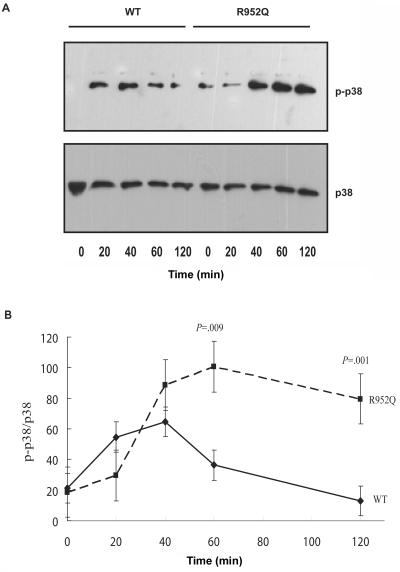 Figure  3. 