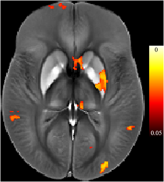 Supplementary Fig. 1.