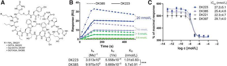 Figure 1. Synthesis and in vitro characterization of DK221 derivatives. A, Structures of parent peptide DK221 and its analogs. B, SPR analysis of DK223 (n = 3) and DK385 (n = 3) binding to PD-L1 C, Fluorescence resonance energy transfer (FRET)-based assay showing sub-nanomolar affinities for DK221 (n = 3), DK223 (n = 3), DK385 (n = 3), and DK397 (n = 3) for inhibiting PD-1:PD-L1 interaction. ***, P < 0.001 by Student t test.