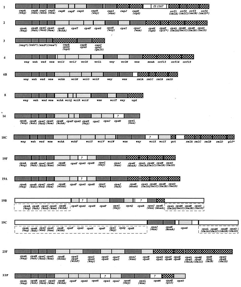 FIG. 1