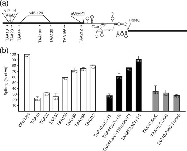 FIG. 3.