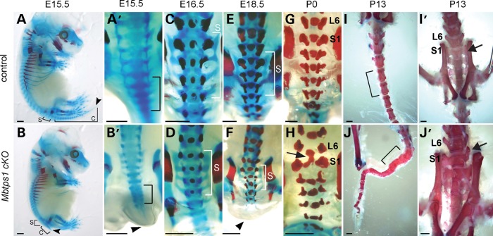 Figure 4.