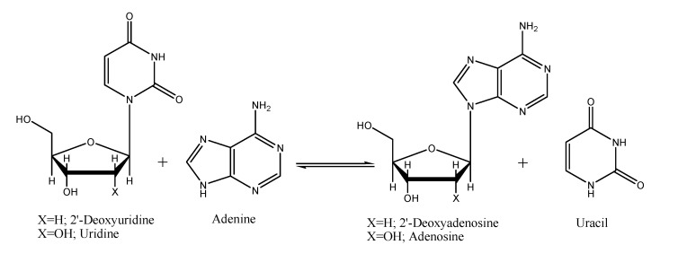 Scheme 2