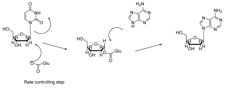 Scheme 3