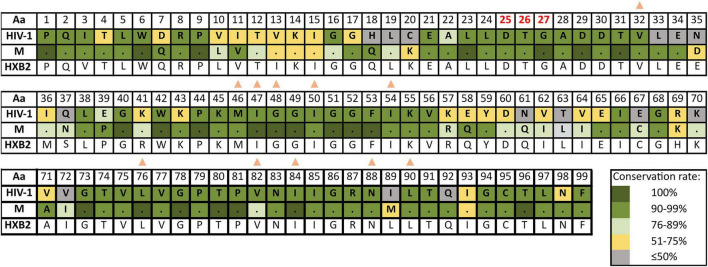 FIGURE 3