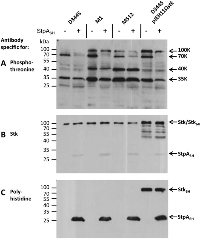 FIG 5 