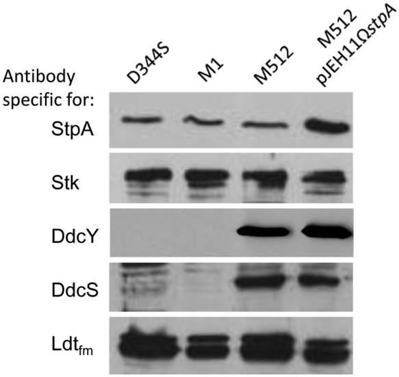 FIG 3 