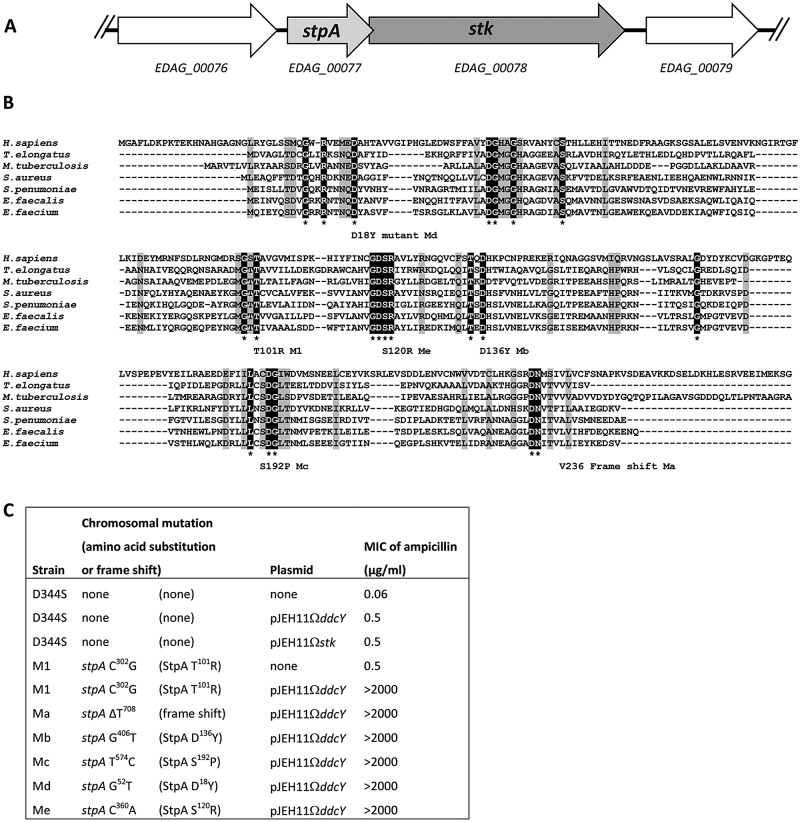 FIG 1 