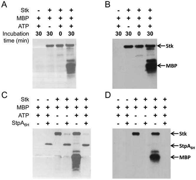 FIG 2 