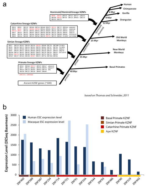 Extended Data Figure S3