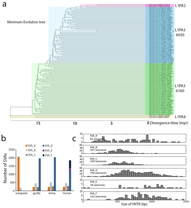 Extended Data Figure S10