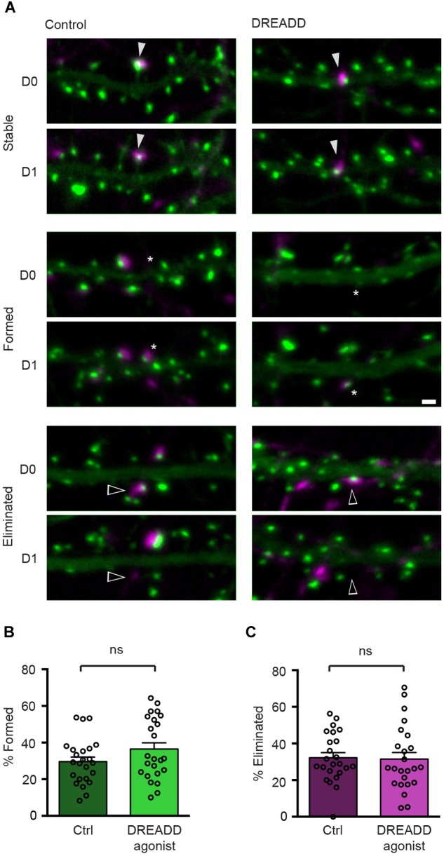 FIGURE 3