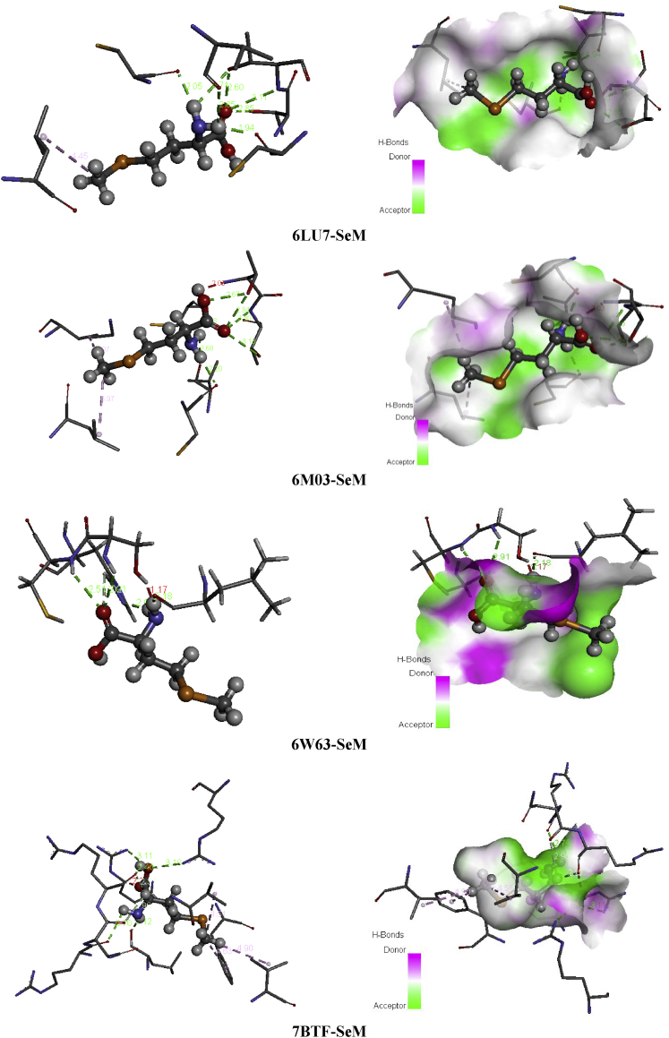 Figure 20