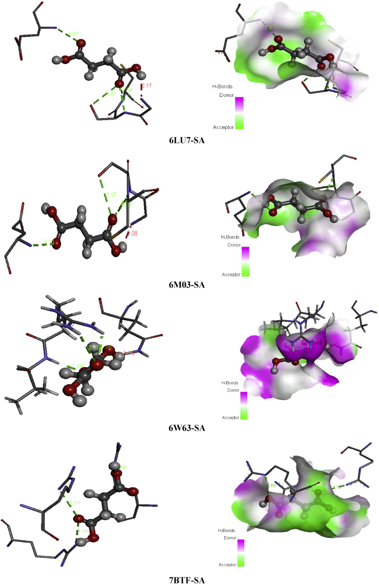 Figure 10