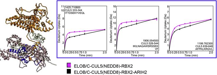 Fig. 6