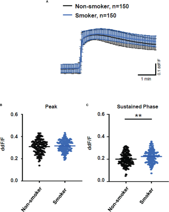 Figure 7