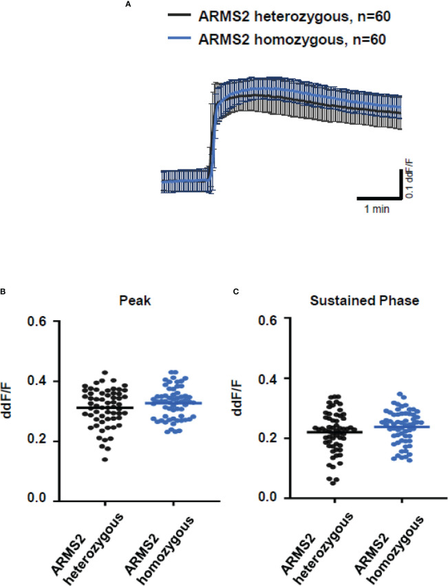 Figure 5