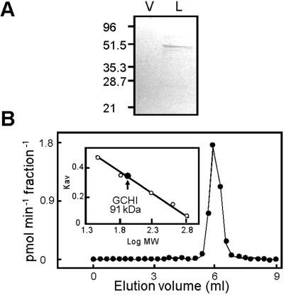 Fig 4.