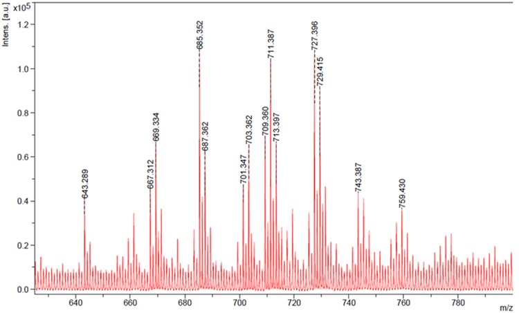 FIGURE 5