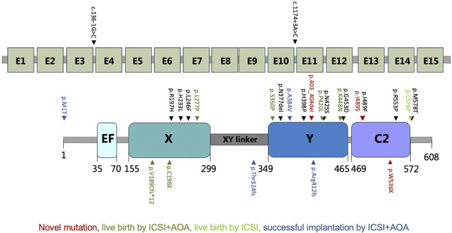 FIGURE 5