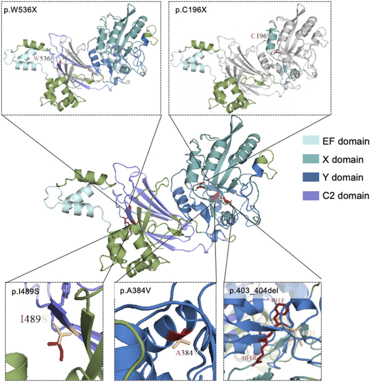 FIGURE 2