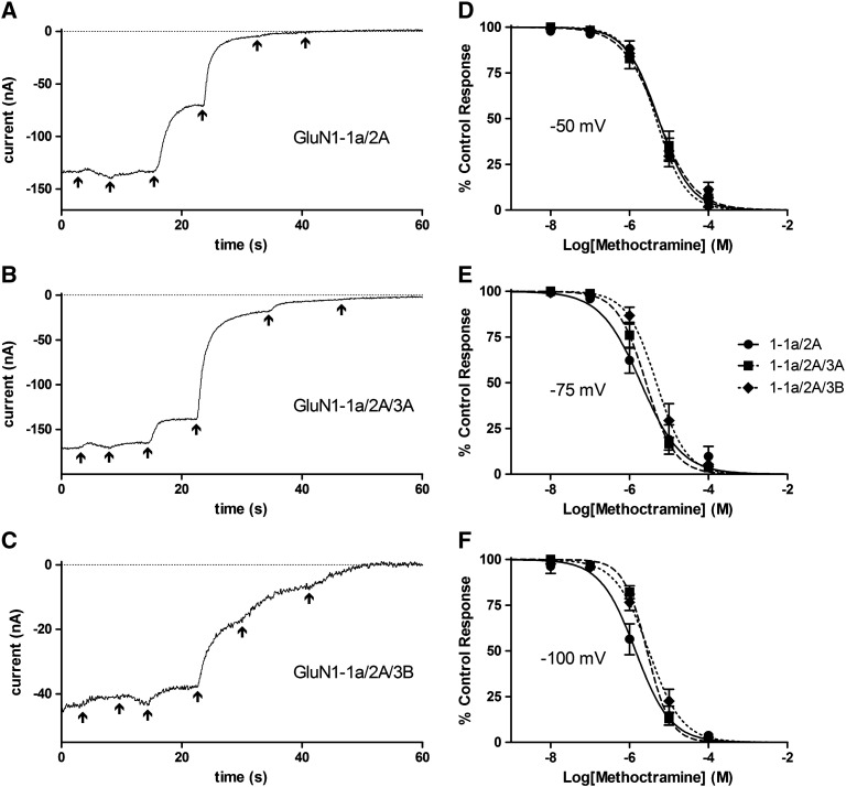 Fig. 8