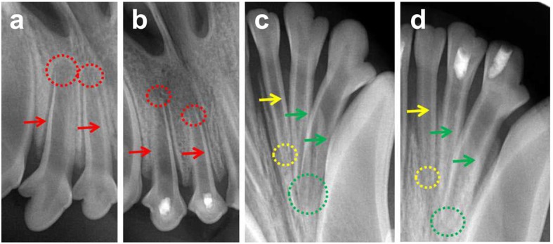 Fig. 8