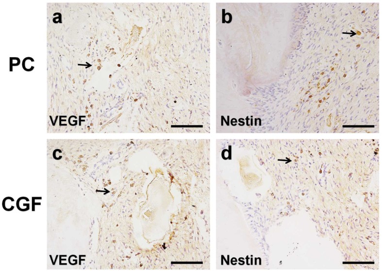 Fig. 10