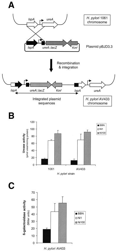 FIG. 3