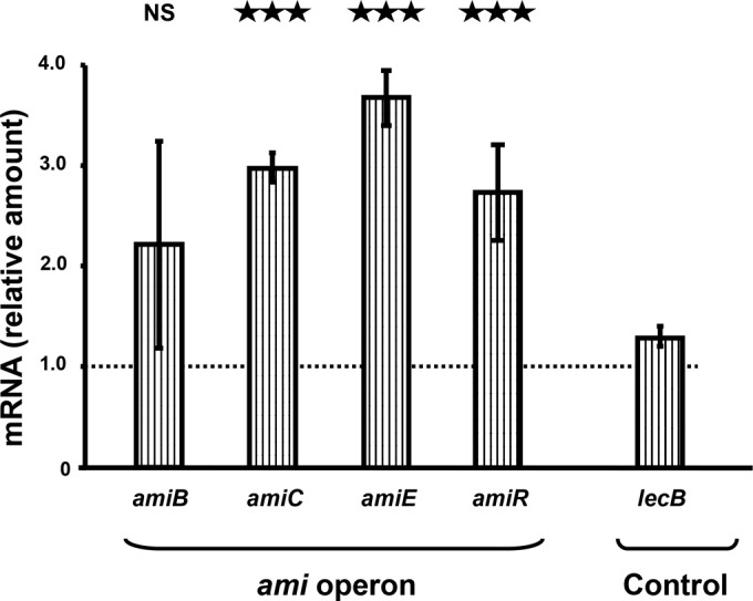 FIG 4 