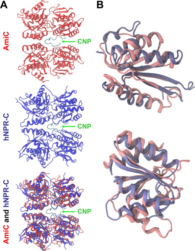 FIG 3 