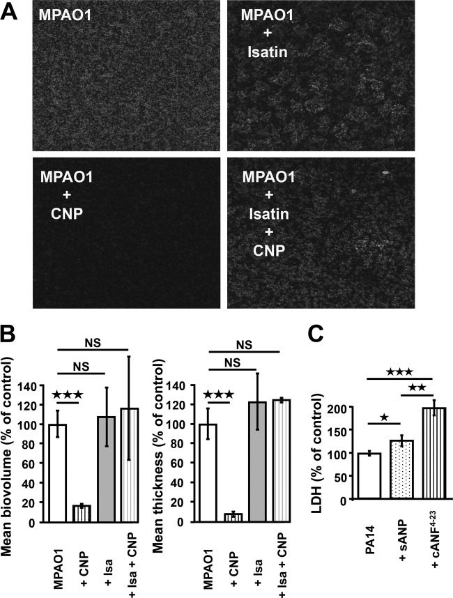 FIG 2 