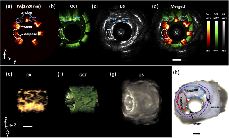 Fig. 3.