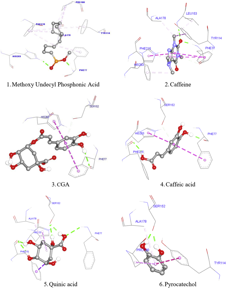 Figure 2