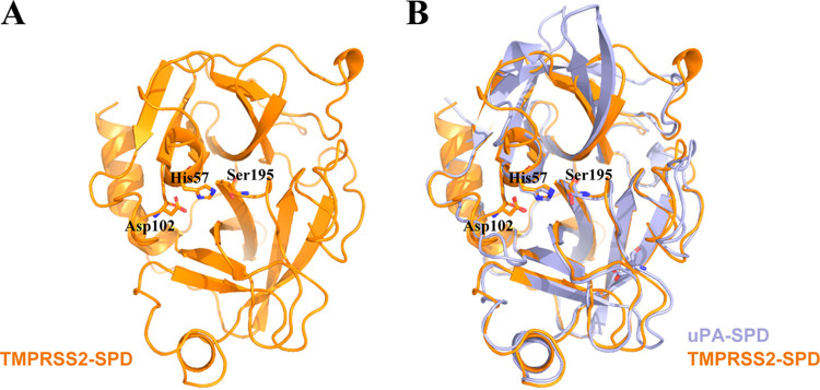 FIG 3