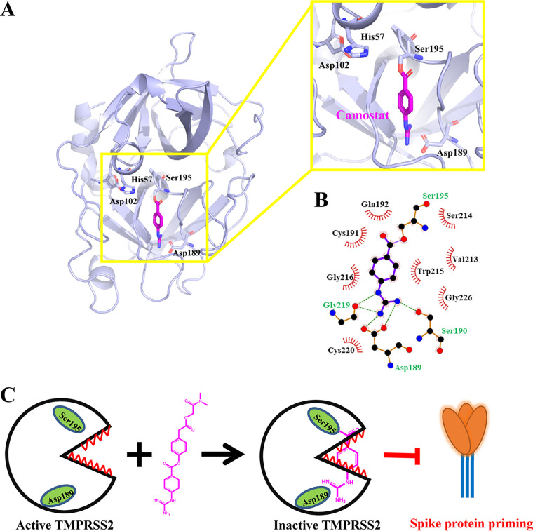 FIG 6