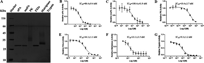 FIG 1