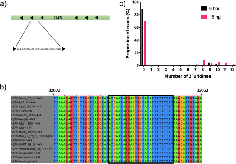 FIG 6