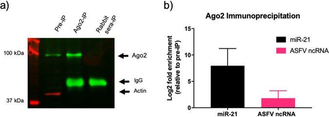 FIG 8