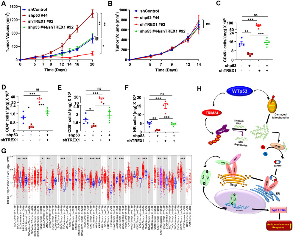 Figure 6: