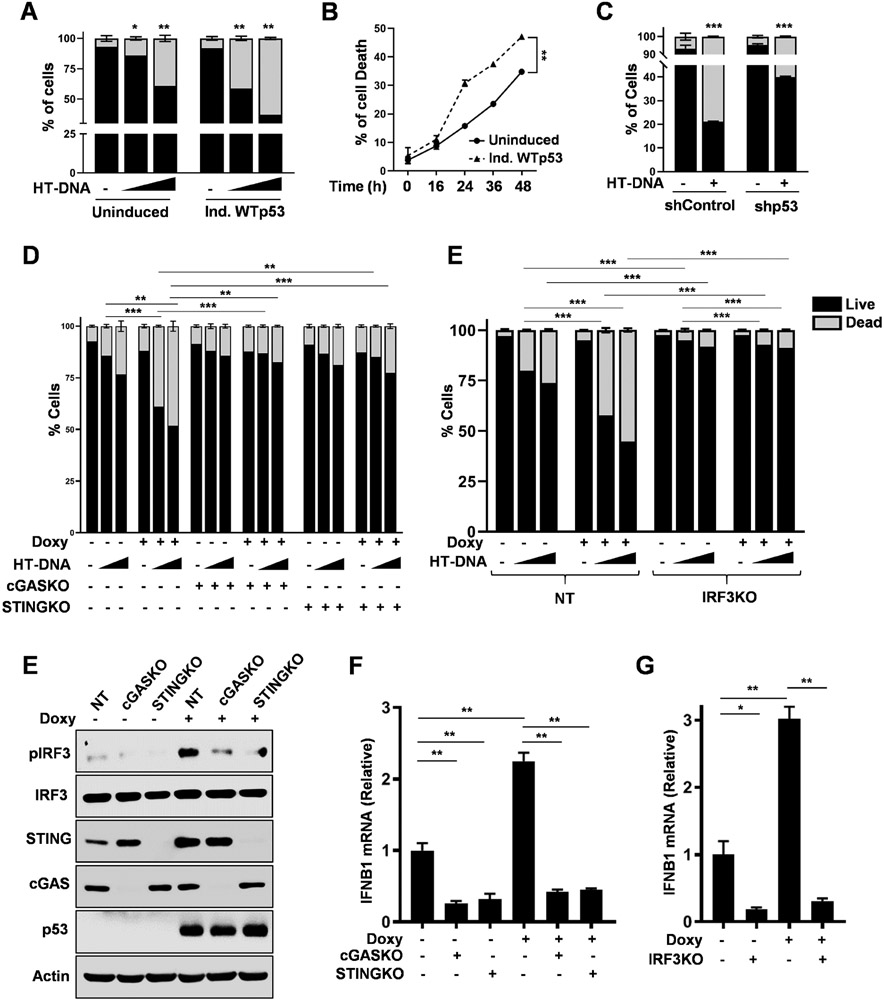 Figure 2: