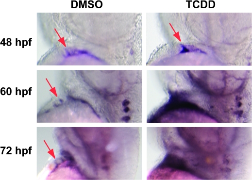 FIG. 7.