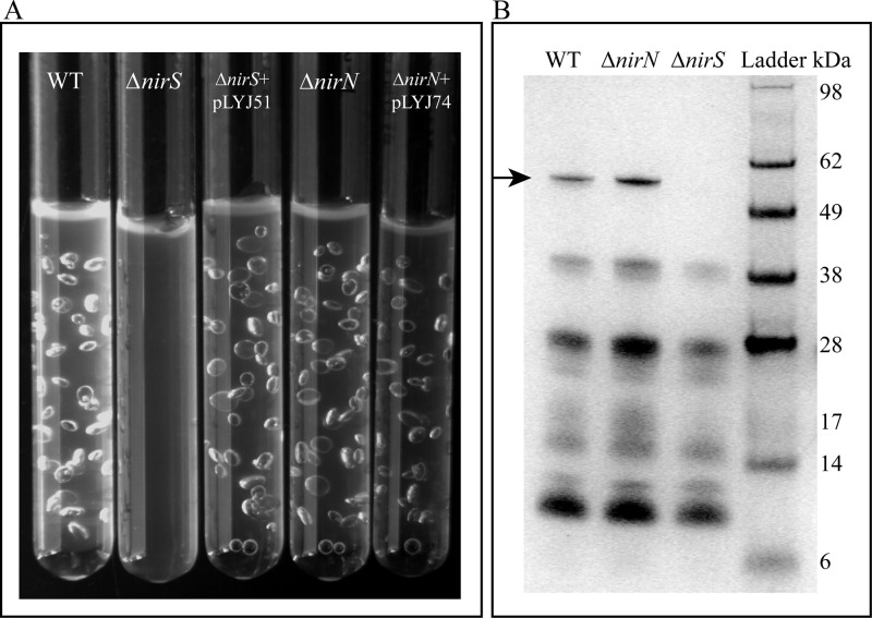 Fig 3