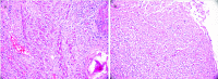 Figure 3. a, b