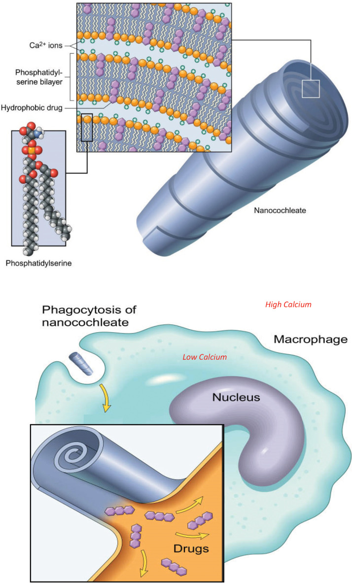 FIG 1