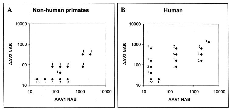 FIG. 6