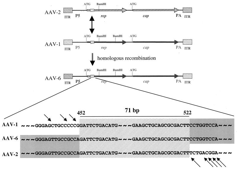 FIG. 4