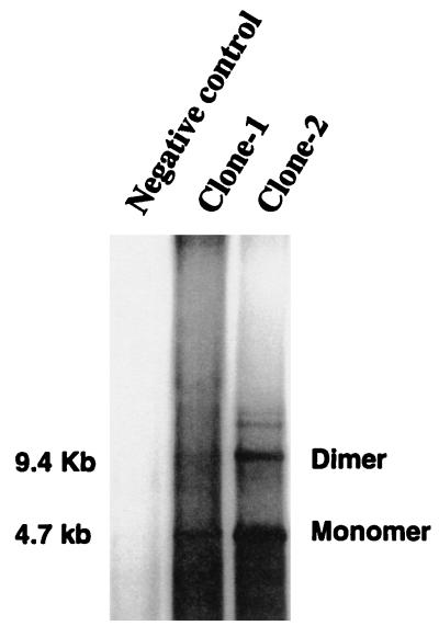 FIG. 1