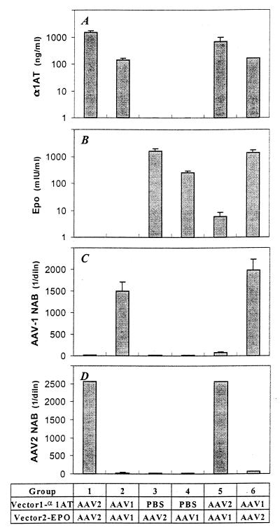 FIG. 8