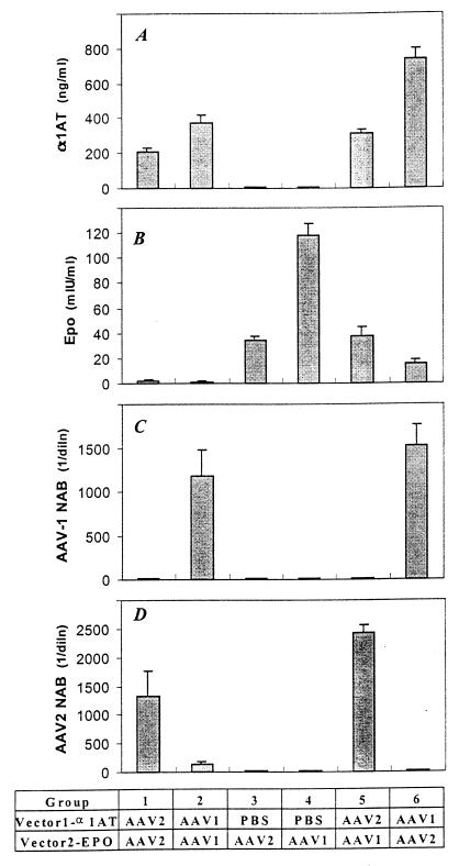 FIG. 7